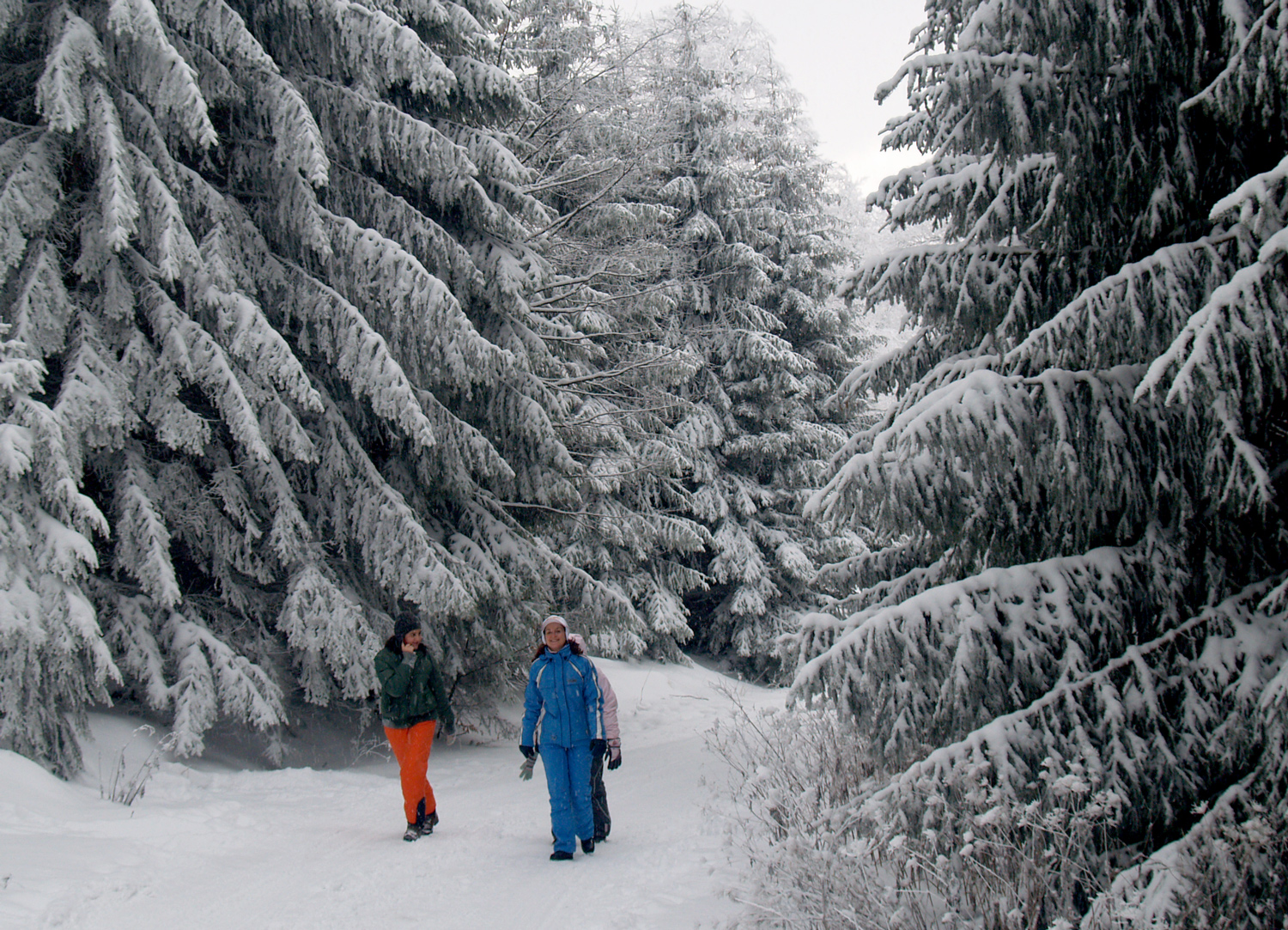 Winter In The Central Balkan National Park